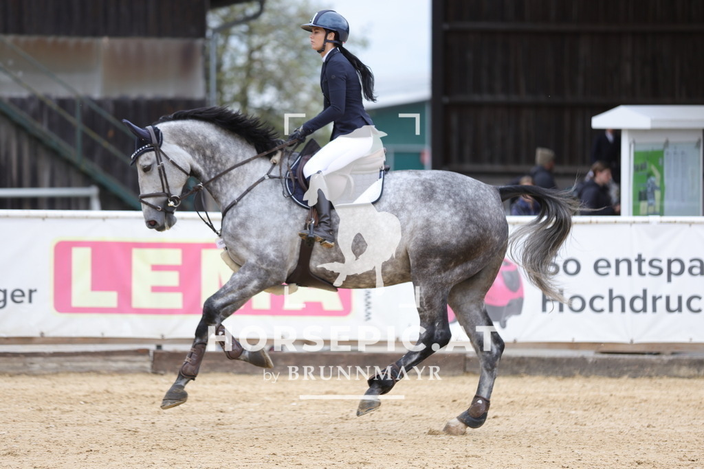 0P6A7833 | Willkommen bei Brunnmayr - Design & Fotografie – Ihrem Spezialisten für Reitturniere und Pferdeveranstaltungen in Oberösterreich, Salzburg und Bayern! Seit über 17 Jahren sind wir leidenschaftlich dabei.