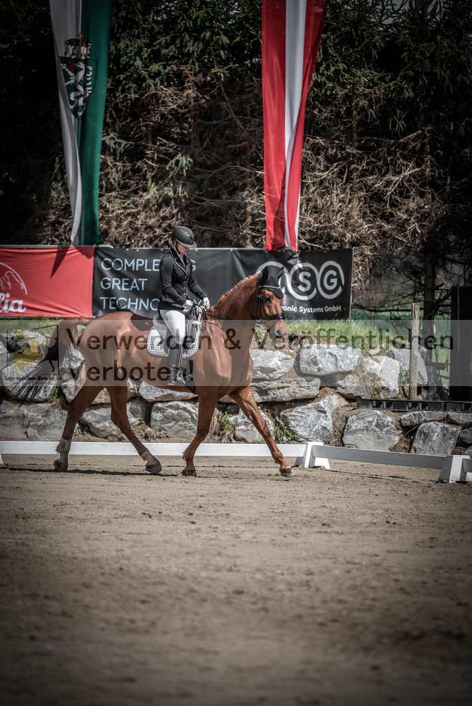 DSC_0733 | equestrian-live-com