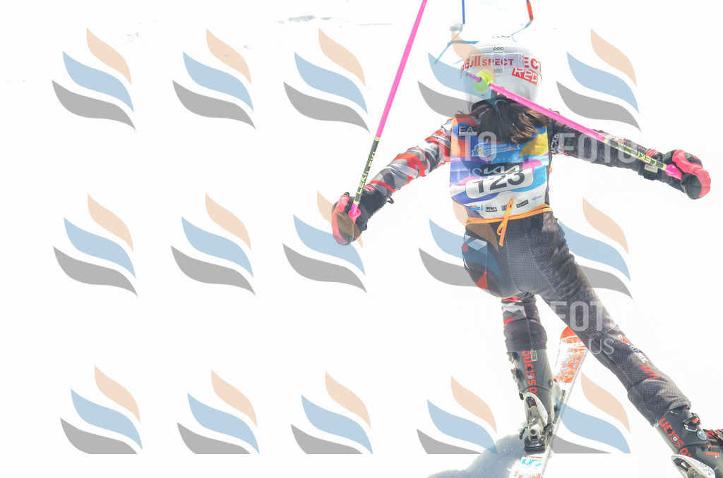 _ELE6035 | holidayphoto