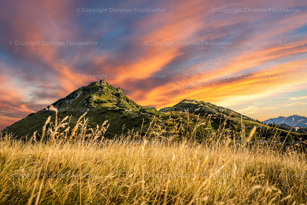 Fotos_Copyright_Chri_Fischbacher_Druck-20 | Bildershop Chri Fischbacher - Realisiert mit Pictrs.com