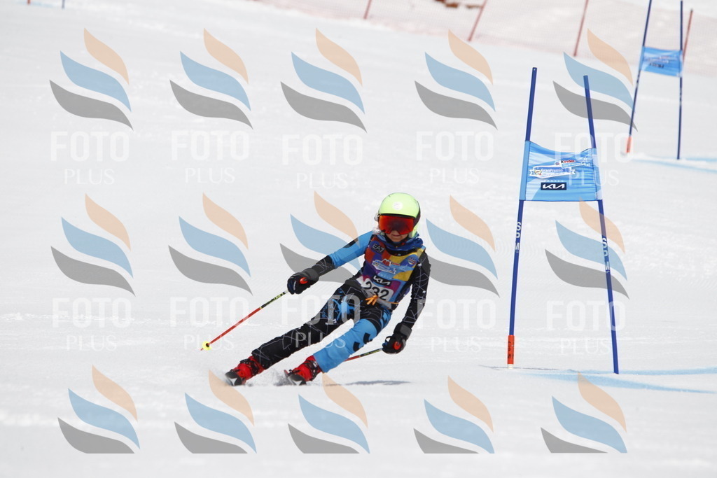 _U3G5966 | holidayphoto