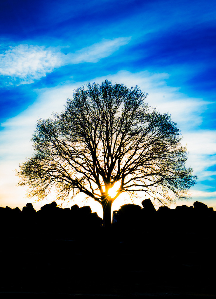 DSC06503 | fotografie33