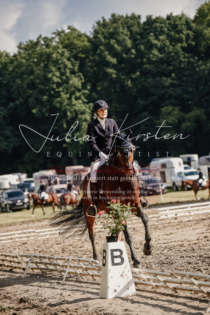 DSC_8802 | Pferde- und Turnierfotografie in Westsachsen. Pferdeportraits, Auftragszeichnungen und intuitive Kunst.