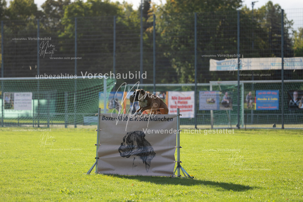 _16A4798 | Einzigartige Fotos von Hunden & Menschen –Actionfotos, Portraits, Vereinsaufnahmen & Paarshootings – authentisch, lebendig & mit Herz.