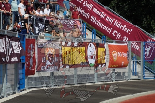 TSG Neustrelitz vs. BFC Dynamo 037 | mythos-online-redaktion