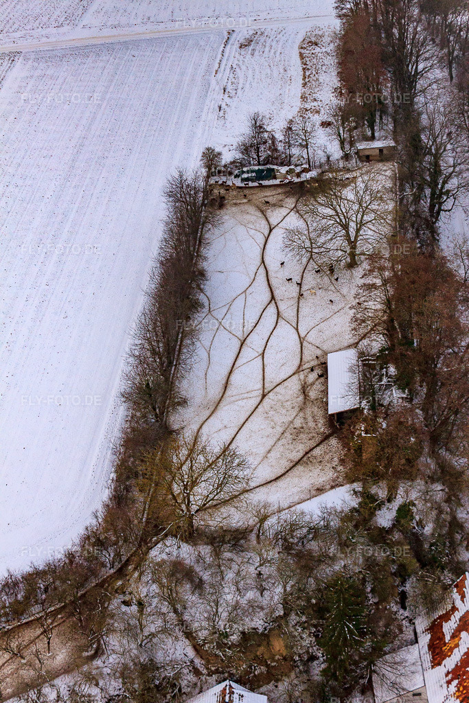 Luftbild: Wildgehege am Gasthaus zur Brauerei bei Schnee in Freckenfeld im Bundesland Rheinland-Pfalz in Deutschland. Foto: IMG_23616.jpg vom 16.01.2010 durch Werner Riehm/FLY-FOTO.de