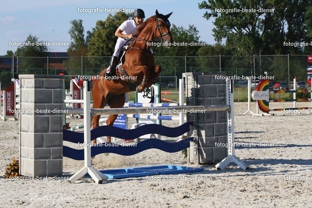 OHT 2022 Röhlingen (154) | Fotografie, Tiere, Hunde, Katzen, Pferde, Sportfotografie, Fotosession, Tierfotografie, Turnierfotografie, Fotografin, Fotograf - Realisiert mit Pictrs.com