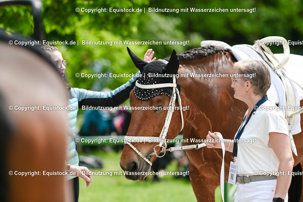 20250608_CVI-Masterclass_0005 | Foto: Thomas Hartig