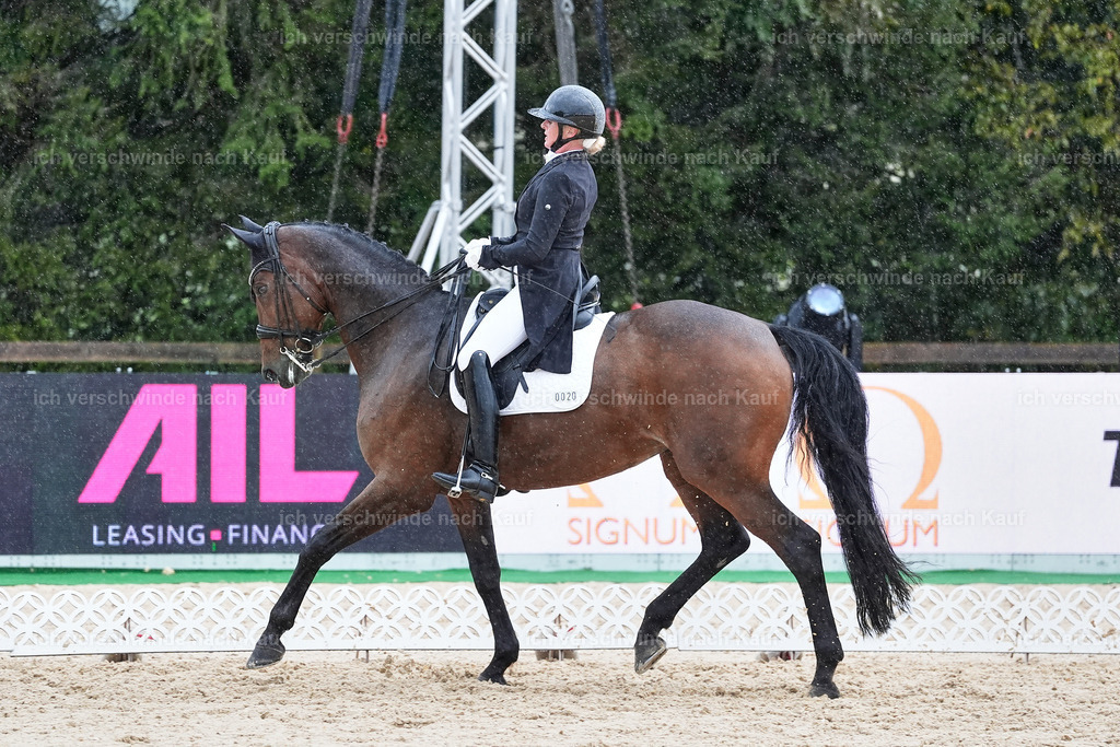 8_1-020-Klasse S_  -StoibPH-3990 | working equitationturnier fotograf videograf stoibphotography marixx film working equitation deutschland reitsport turnierfotografie eventfotografie equestrian events