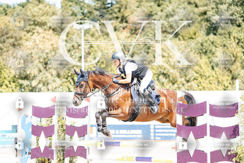 CK900738 | Turnierfotografie Pferdefotografie Trier Rheinland-Pfalz Pferdesport Reitsport Tierfotografie Sportfotografie Pferdevideo Pferdevideografie Equestrianvideography equestrianphotography  - Realisiert mit Pictrs.com