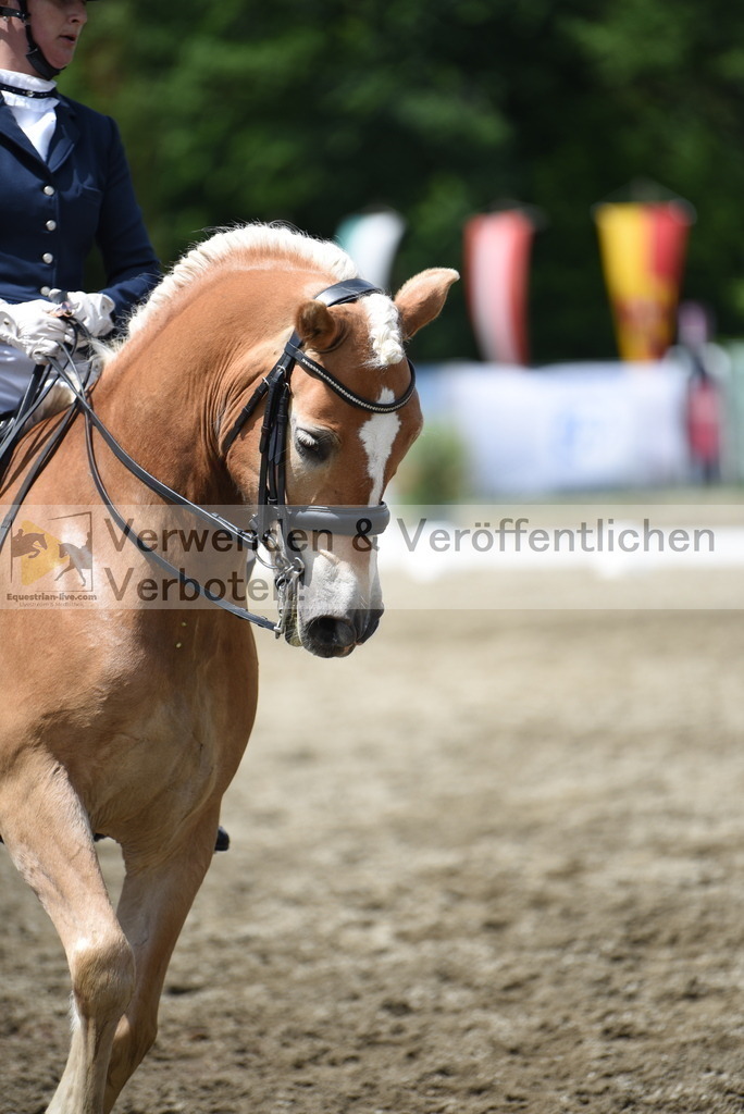 DSC_1310 | equestrian-live-com