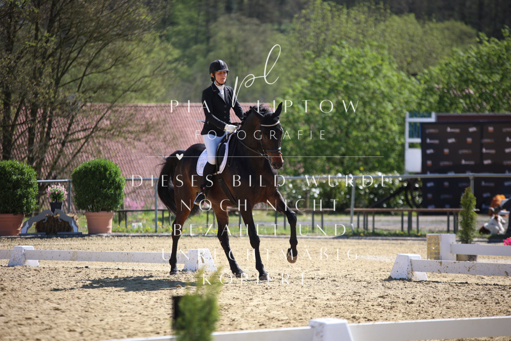 IMGT8145 | pl-fotografie