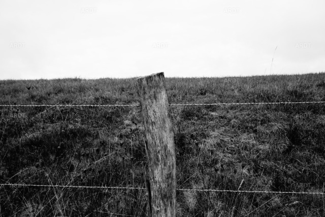 Landschaft und Natur ohne Farbe 22 | ARDT Foto Kunst