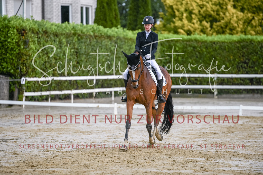 Schugtsche-Aluta25-55.Dressurreiterprf.L1Tr-288 | Schugtsche Fotografie - Realisiert mit Pictrs.com
