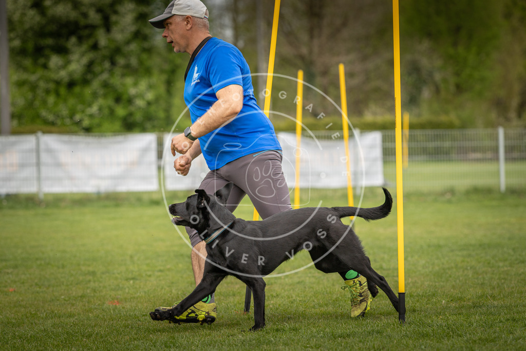 Pfotenfotografie_DV3A7233 | Hundefotografie, Tierfotograf, Pfotenfotografie, Fotoshooting Hund, Hunde Portrait, Hundesport, Hundeportraits, Heideshooting, Hunde, Sportfotograf, Hundefotograf, Turnierhundsport, THS,  - Realisiert mit Pictrs.com