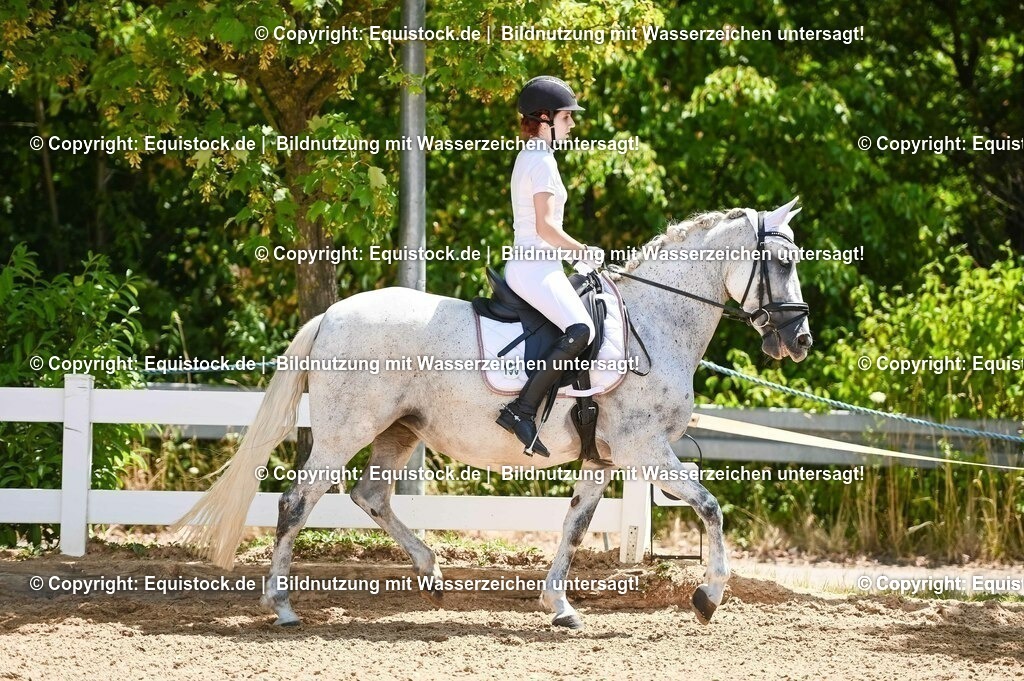 20230715_09_Dressur-WB_0307 | equistock