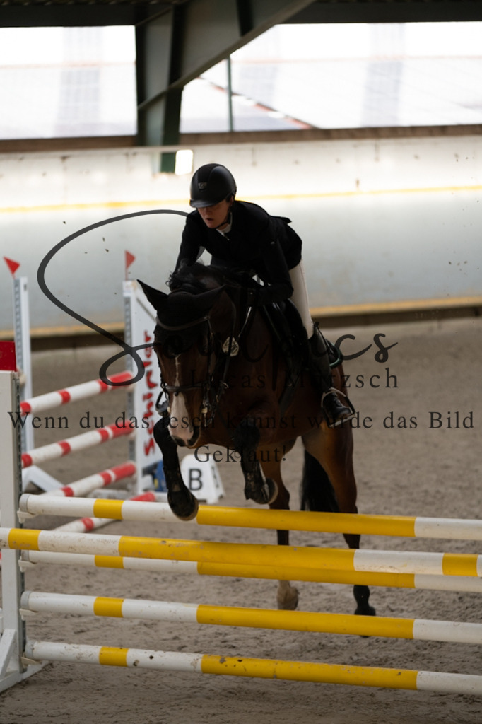 A7V02365 | Pferdefotograf