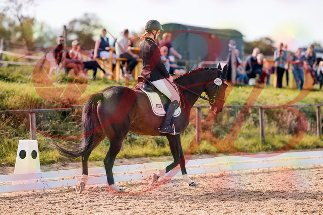 2026_10_03_Siefer-Hof_132530_Z81_76209761 | Professionelle Reitsport-, Turnier- und Eventfotografie von Robert Broda. Galerien mit ausgewählten und bearbeiteten Bildern direkt online ansehen und bestellen.