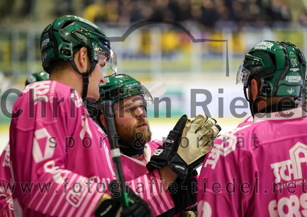 2025-10-10_085_TSV_Erding_gegen_onesto_Tigers_Bayreuth | Erding, Deutschland, 10.10.2025:Eishockey, Oberliga Süd 2025 / 2026, 7. Spieltag, TSV Erding gegen onesto Tigers Bayreuth, Endergebnis: 2:5Elia Ostwald (Erding Gladiators, #17), Grady Hobbs (Erding Gladiators, #22), Maximilian Forster (Erding Gladiators, #81)Foto: Christian Riedel / fotografie-riedel.net