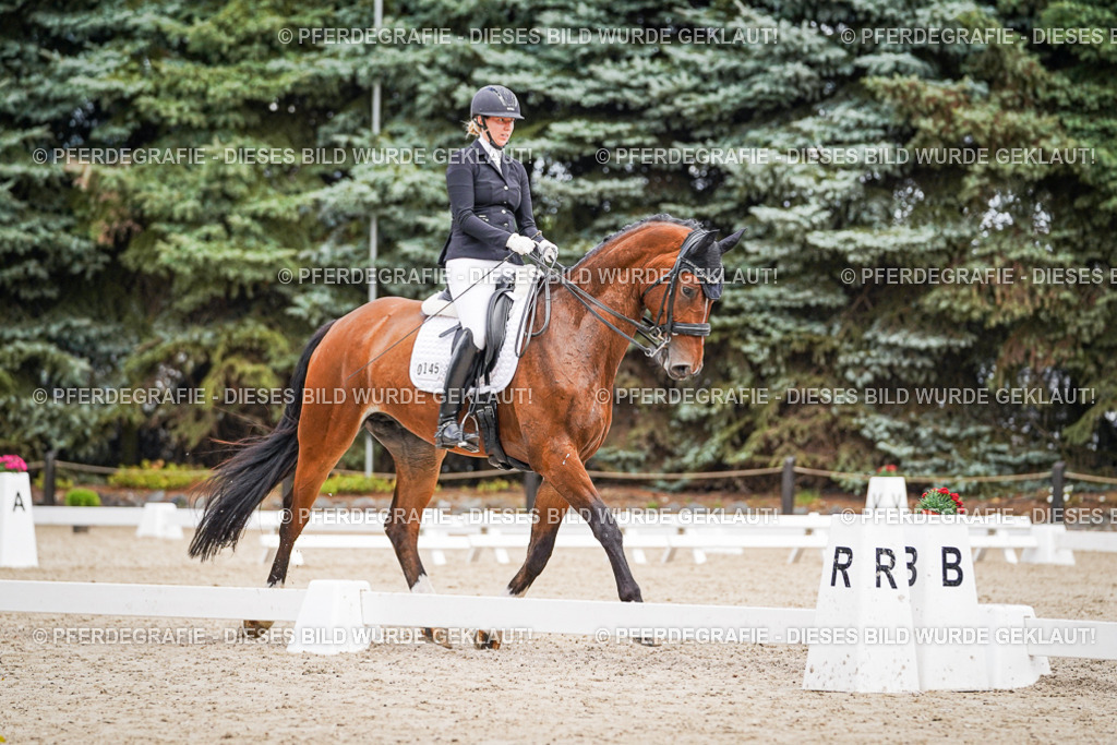 DSC04193 | Pferdegrafie