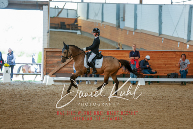 _62_7902 | Turniersportfotografie; Pferdefotografie; Dressurfotografie