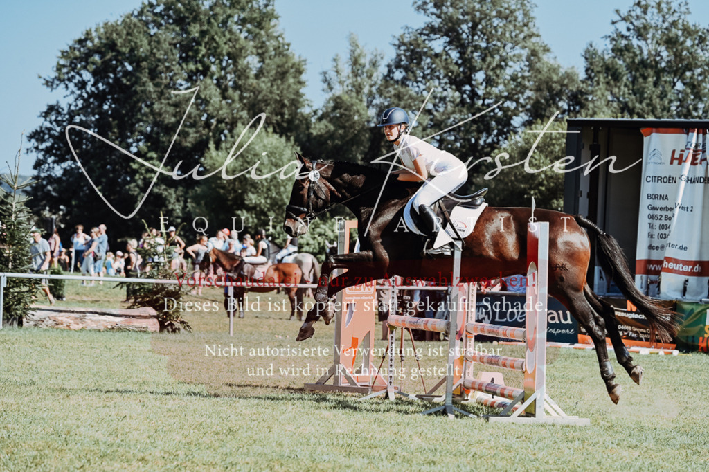 DSC_6587 | Pferde- und Turnierfotografie in Westsachsen. Pferdeportraits, Auftragszeichnungen und intuitive Kunst.