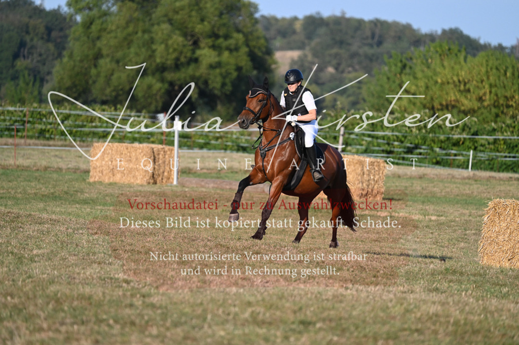 DSC_9224 | Pferde- und Turnierfotografie in Westsachsen. Pferdeportraits, Auftragszeichnungen und intuitive Kunst.