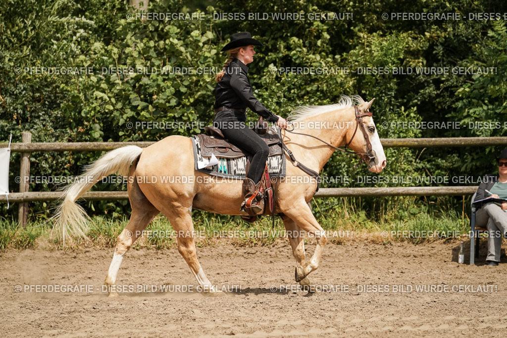 DSC09874 | Pferdegrafie