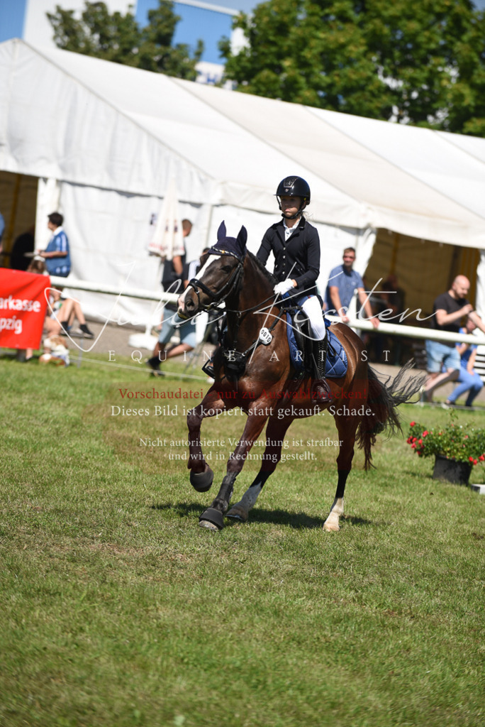 DSC_9582 | Pferde- und Turnierfotografie in Westsachsen. Pferdeportraits, Auftragszeichnungen und intuitive Kunst.