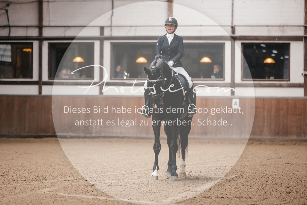 3I6A7057 | Stimmungsvolle Portraits und Reitsportfotografie im Ruhrgebiet und im Münsterland.

Pferdefotografie, Hundefotografie, Tierfotografie, Reportagen, Portraits von Tier und Mensch, Turnierfotografie in Bochum, Recklinghausen, Marl, Haltern am See, Dülmen.. - Realisiert mit Pictrs.com