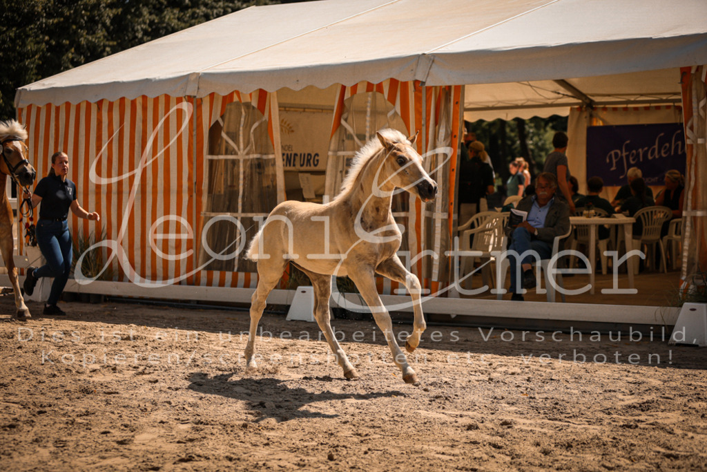 06.DoH00093 | Leoni Ertmer Photography - Realisiert mit Pictrs.com