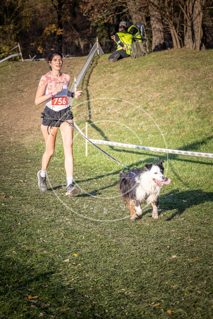 CaniXpix_0L8A9998 | Hundefotografie, Tierfotograf, Pfotenfotografie, Fotoshooting Hund, Hunde Portrait, Hundesport, Hundeportraits, Heideshooting, Hunde, Sportfotograf, Hundefotograf, Turnierhundsport, THS,  - Realisiert mit Pictrs.com