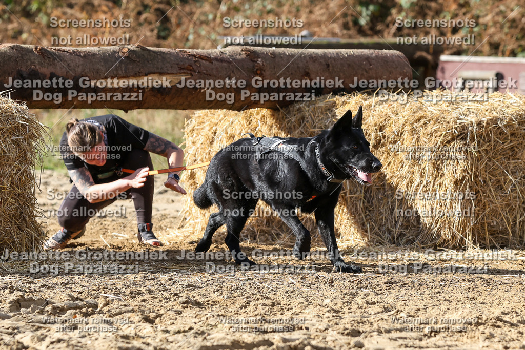 Dog Paparazzi - Strongdog 10-25-4941 | Dog Paparazzi Jeanette Grottendiek Fotografie & Videografie - Realisiert mit Pictrs.com