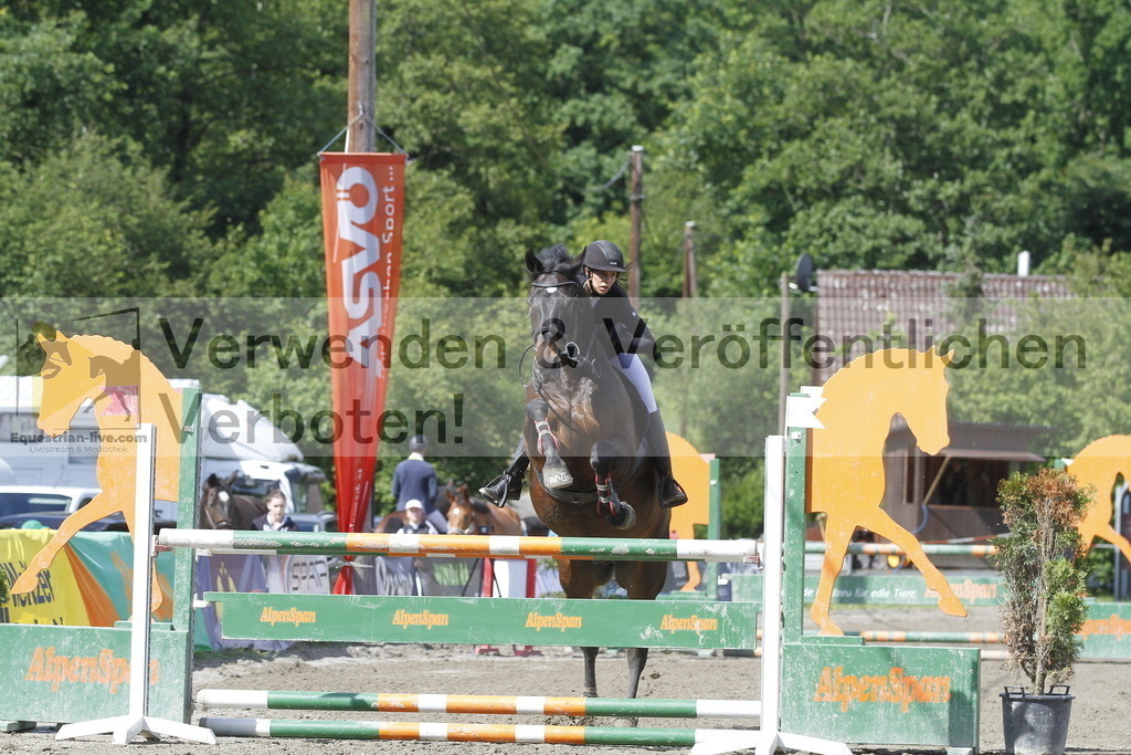 _MG_8519 | equestrian-live-com