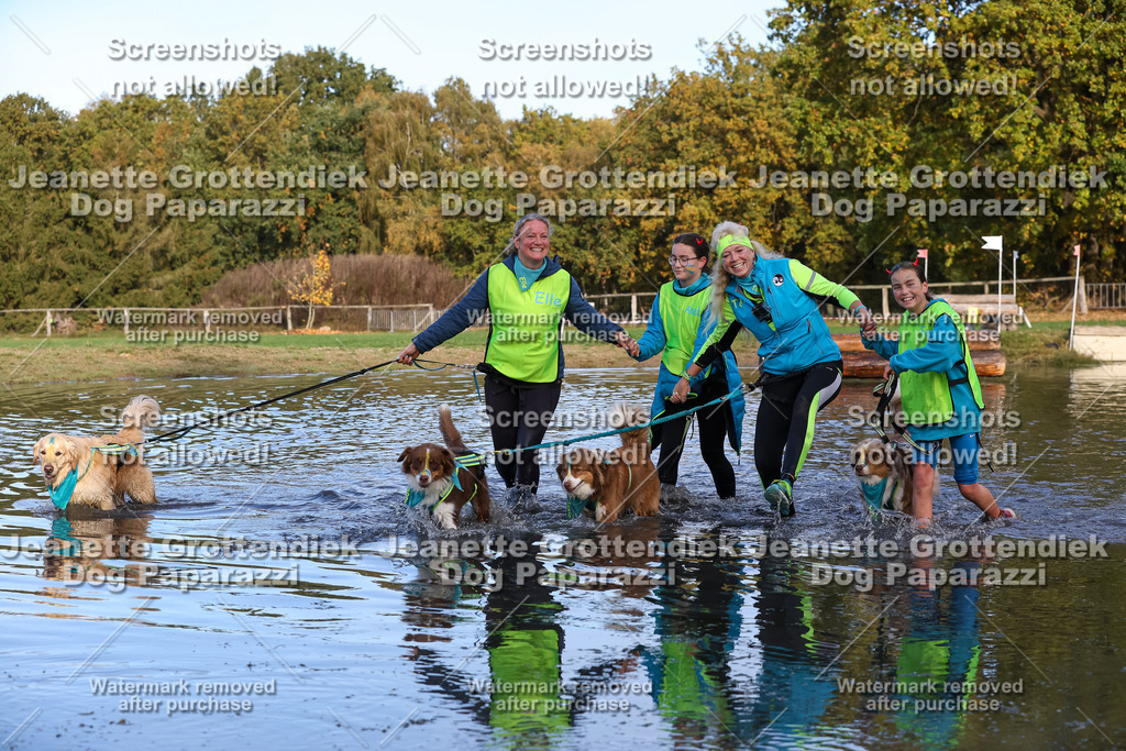 Dog Paparazzi - Strongdog 10-25-8487 | Dog Paparazzi Jeanette Grottendiek Fotografie & Videografie - Realisiert mit Pictrs.com