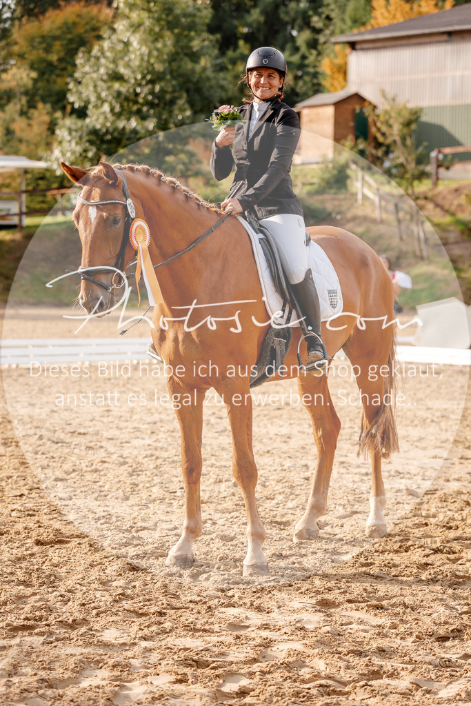 3I6A2629 | Stimmungsvolle Portraits und Reitsportfotografie im Ruhrgebiet und im Münsterland.

Pferdefotografie, Hundefotografie, Tierfotografie, Reportagen, Portraits von Tier und Mensch, Turnierfotografie in Bochum, Recklinghausen, Marl, Haltern am See, Dülmen.. - Realisiert mit Pictrs.com