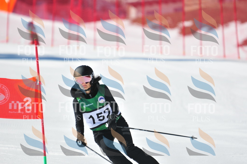 C4070 | holidayphoto