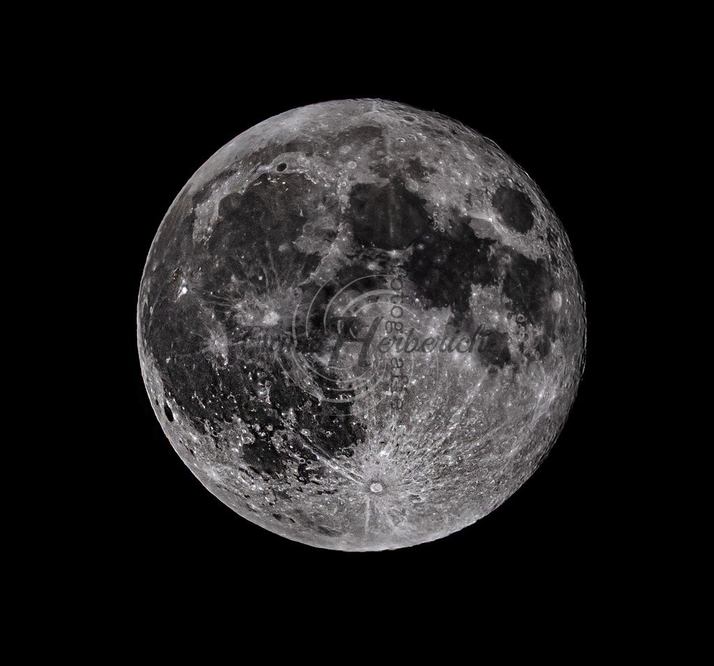 _X0A8918stackv3lopict | Frank Herberich Fotografie, Frank Herberich, Fotografie, Hochzeit, Portrait, St. Peter Ording, Ording, Westerhever, Nordsee, Frank Fotografie, Hardheim,  Odenwald,Walldürn, Band,Eventfotografie - Realisiert mit Pictrs.com