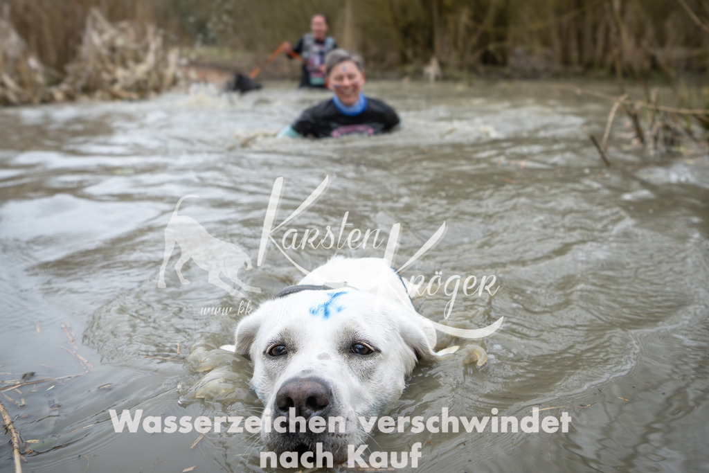 1344_ZZ92211 | kk-dogfotos