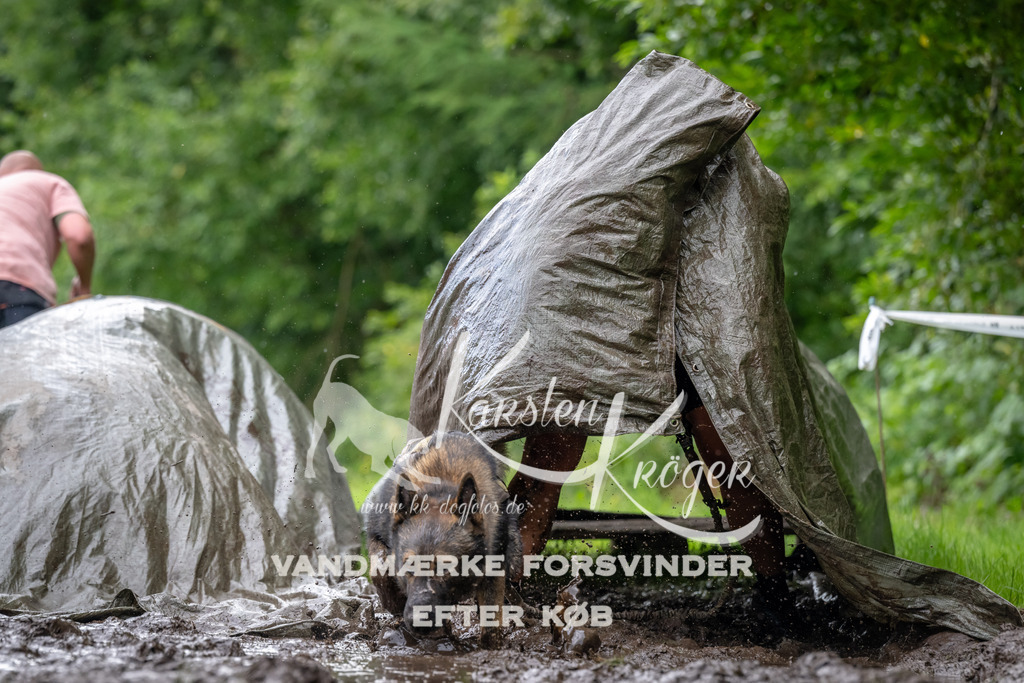 1044_ZZ92810 | kk-dogfotos