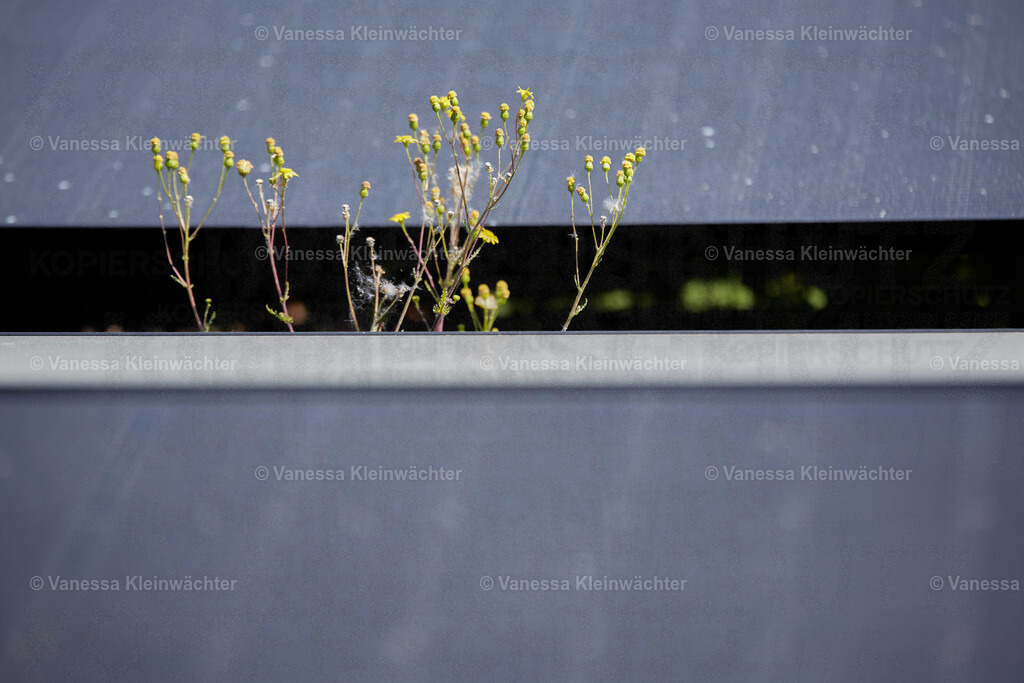 250511_SolarXBerg_13 | Vanessa Kleinwächter - Realisiert mit Pictrs.com