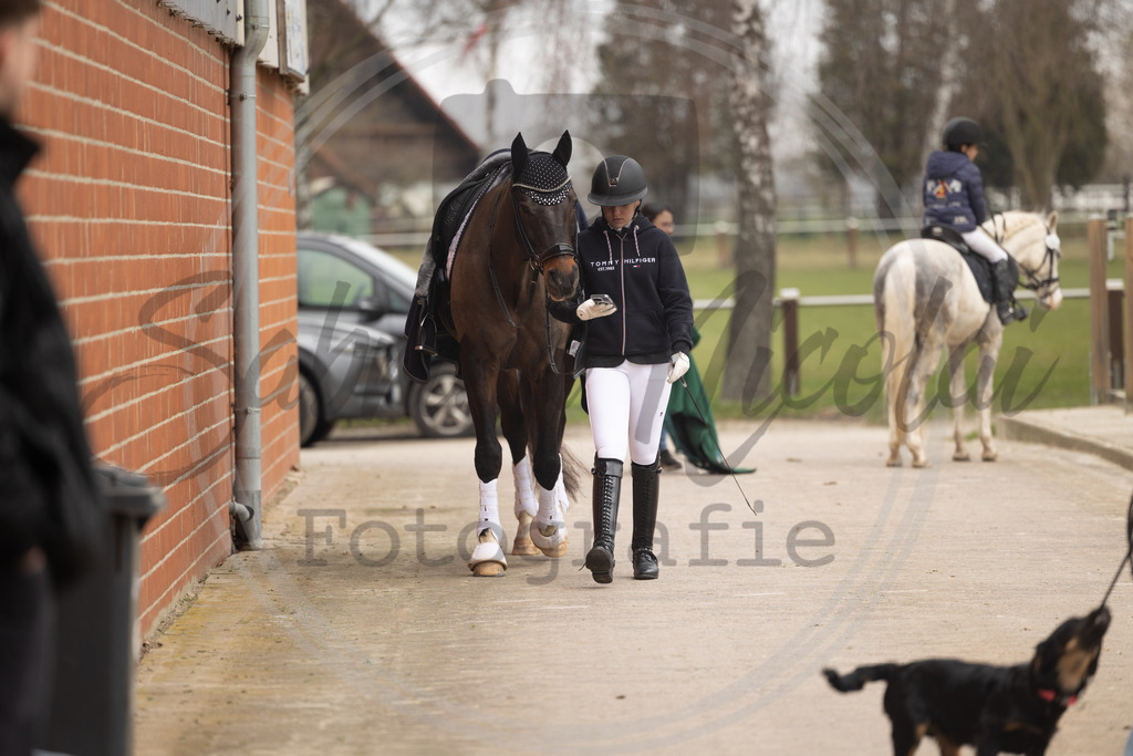 994A8577 | sabrinanicolaifotografie - Realisiert mit Pictrs.com