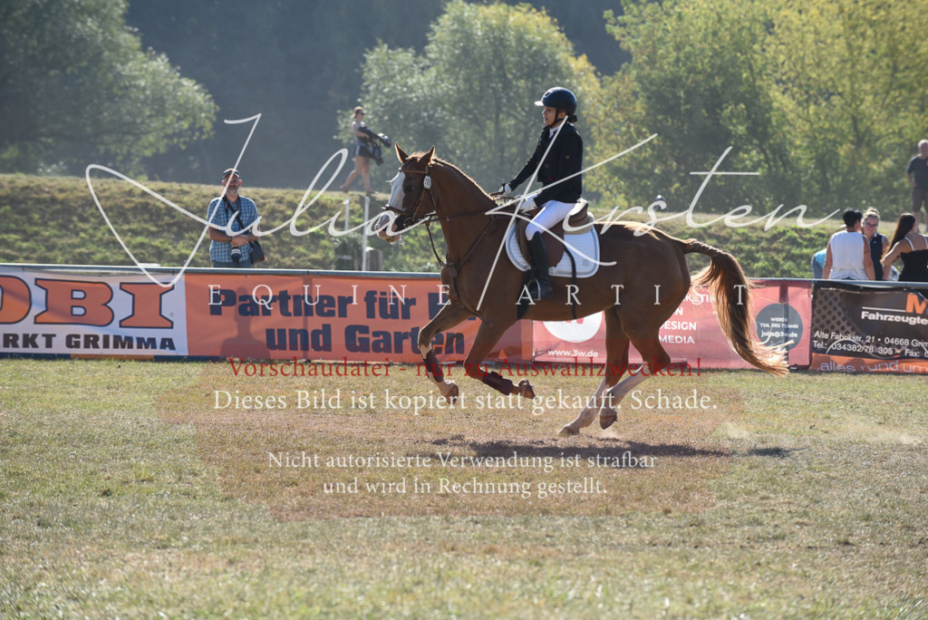 DSC_5965 | Pferde- und Turnierfotografie in Westsachsen. Pferdeportraits, Auftragszeichnungen und intuitive Kunst.
