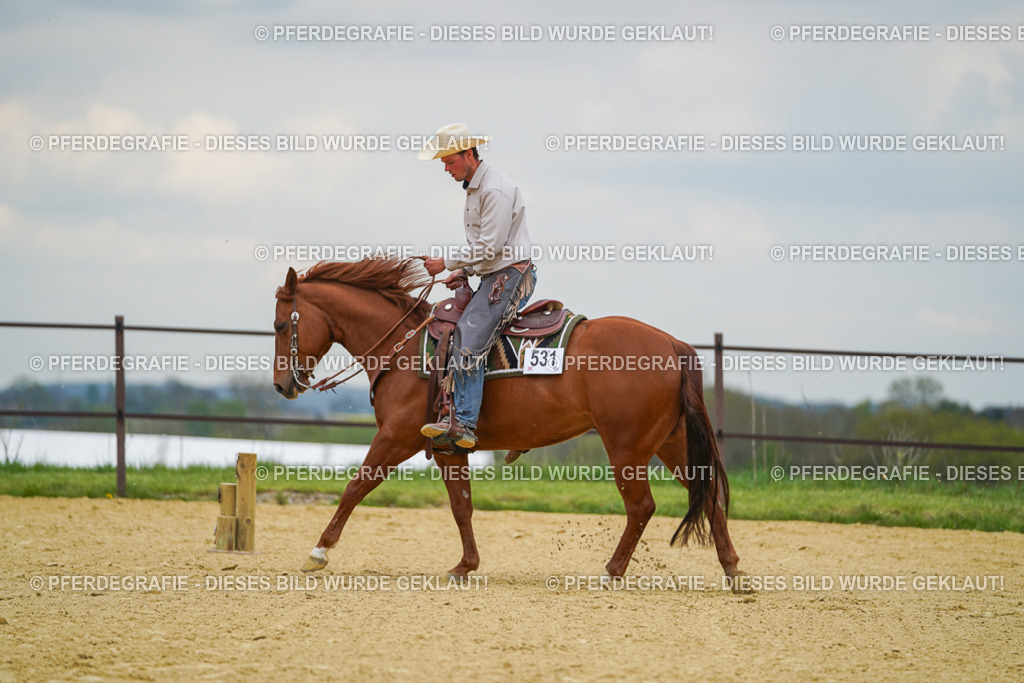 DSC07143 | Pferdegrafie