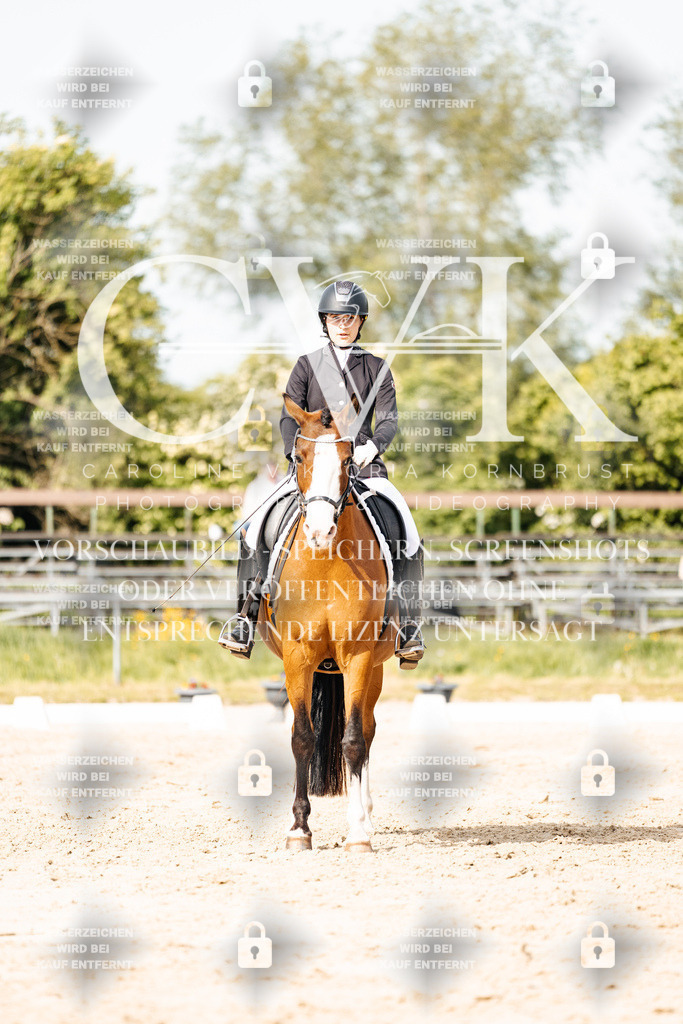 CK900493 | Turnierfotografie Pferdefotografie Trier Rheinland-Pfalz Pferdesport Reitsport Tierfotografie Sportfotografie Pferdevideo Pferdevideografie Equestrianvideography equestrianphotography  - Realisiert mit Pictrs.com
