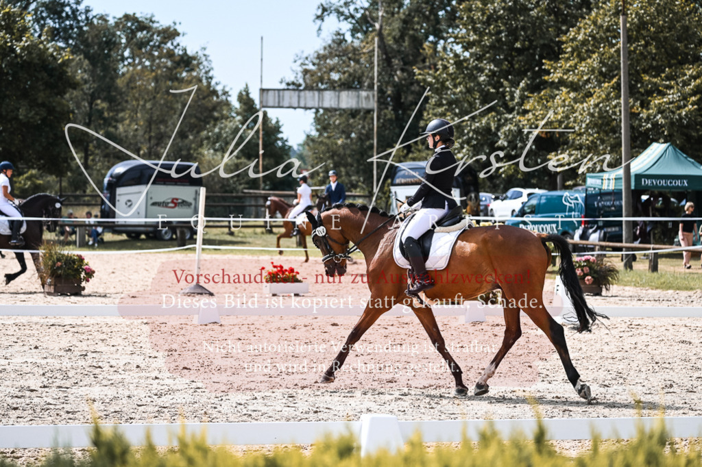 DSC_5150 | Pferde- und Turnierfotografie in Westsachsen. Pferdeportraits, Auftragszeichnungen und intuitive Kunst.