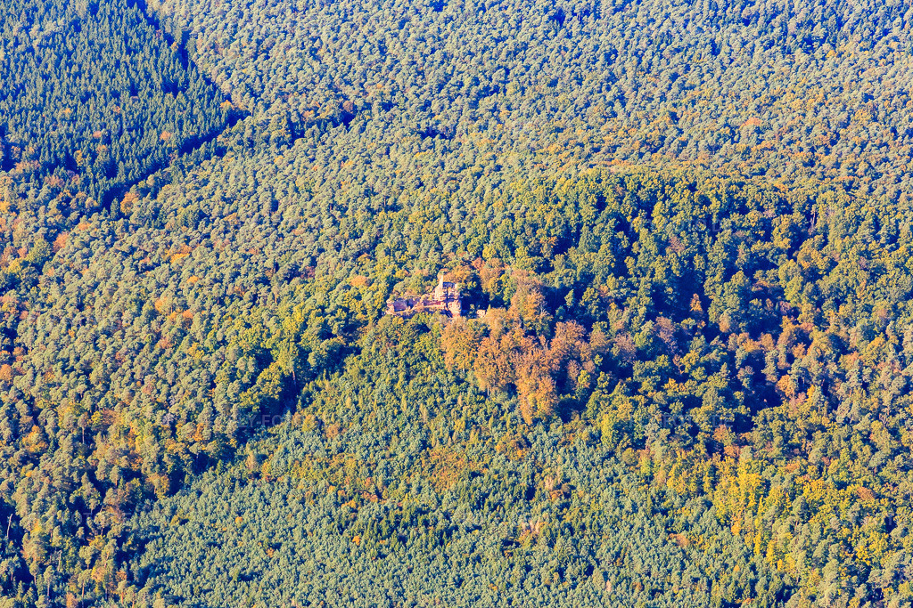Luftbild: Burg Steinberg in Obersteinbach im Bundesland Bas-Rhin in Frankreich. – Foto: IMG_095117.jpg vom 16.10.2016 durch Werner Riehm/FLY-FOTO.de – Auflösung des Originals: 5472 x 3648 px