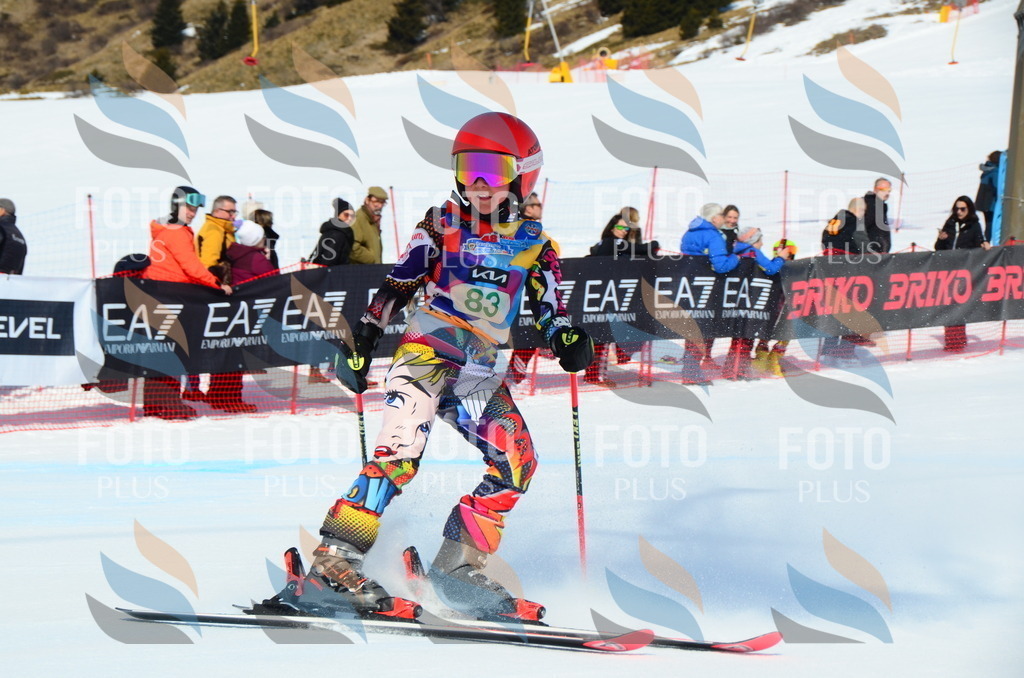 DSC_0527 | holidayphoto