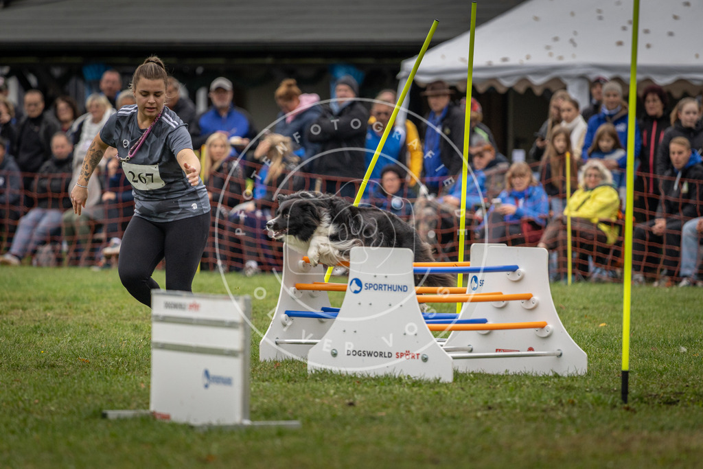 Pfotenfotografie_DV3A9904 | Hundefotografie, Tierfotograf, Pfotenfotografie, Fotoshooting Hund, Hunde Portrait, Hundesport, Hundeportraits, Heideshooting, Hunde, Sportfotograf, Hundefotograf, Turnierhundsport, THS,  - Realisiert mit Pictrs.com
