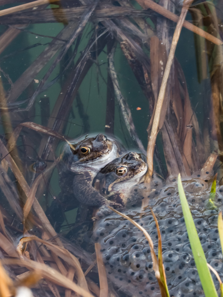 PSX_20230318_000048 | mtkfoto_ - Realisiert mit Pictrs.com